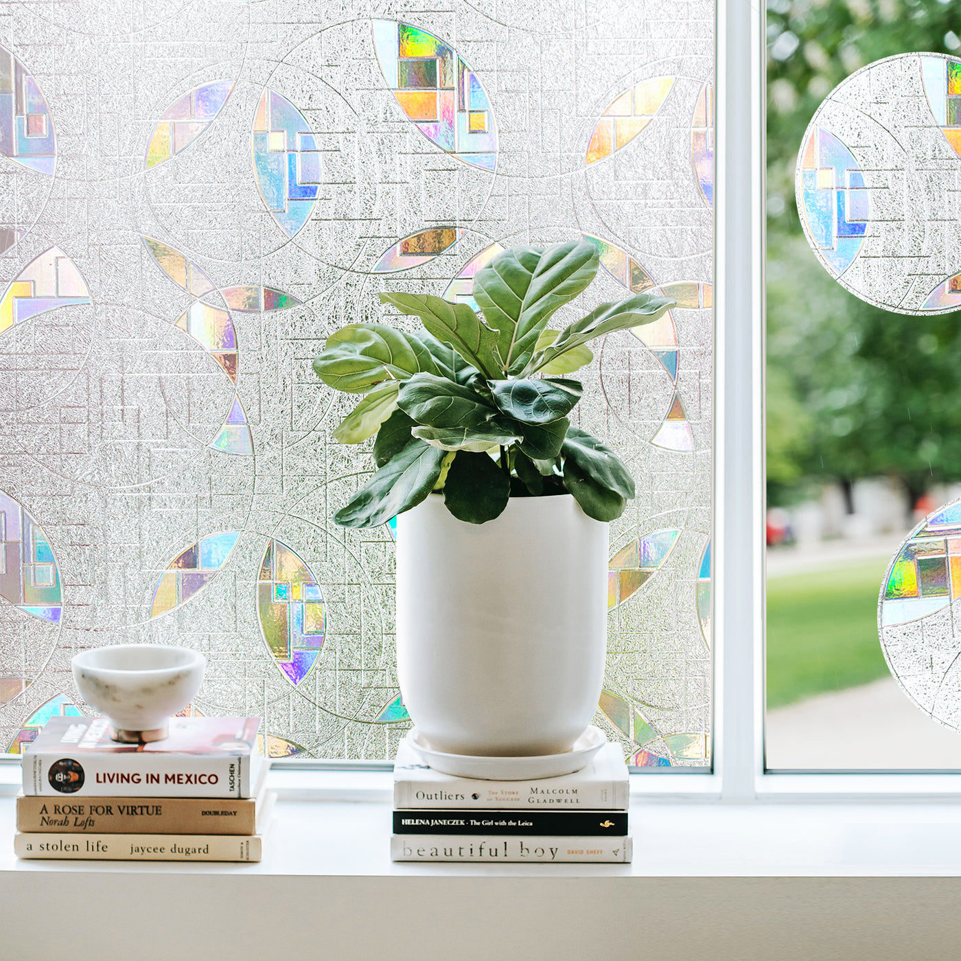 CottonColors Window Privacy Film 3D Rainbow Window Film Decorative Win ...