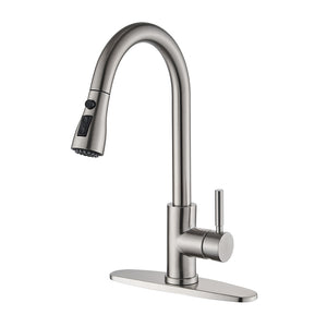 Kitchen Faucet