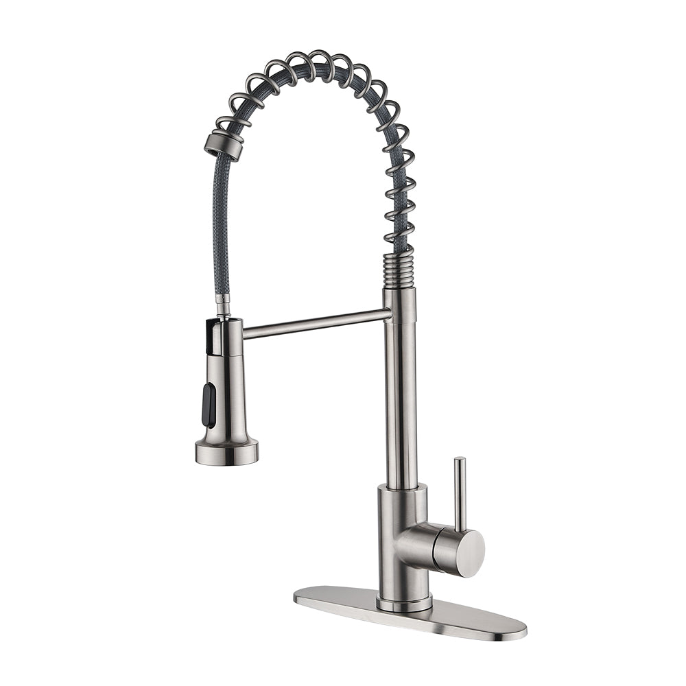 Spring Kitchen Faucet